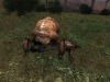 STALKER - 10